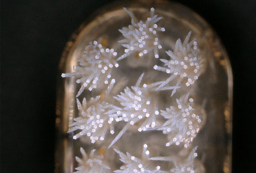 VIGAKU LAB.